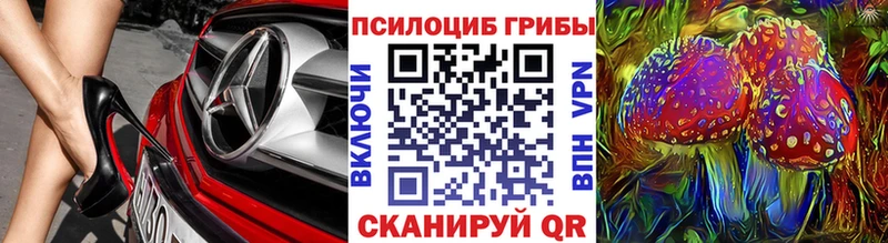 Псилоцибиновые грибы Psilocybine cubensis где можно купить наркотик Кызыл